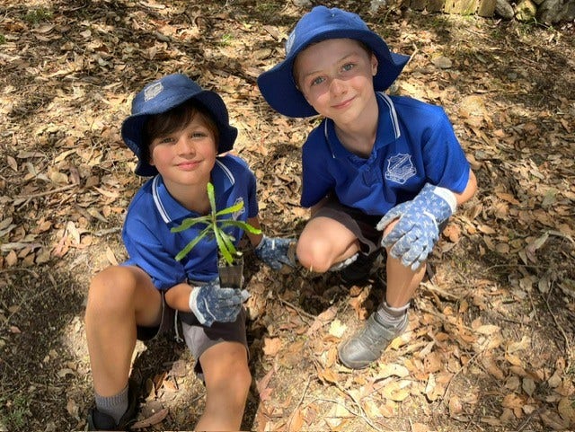 Students at Green Day